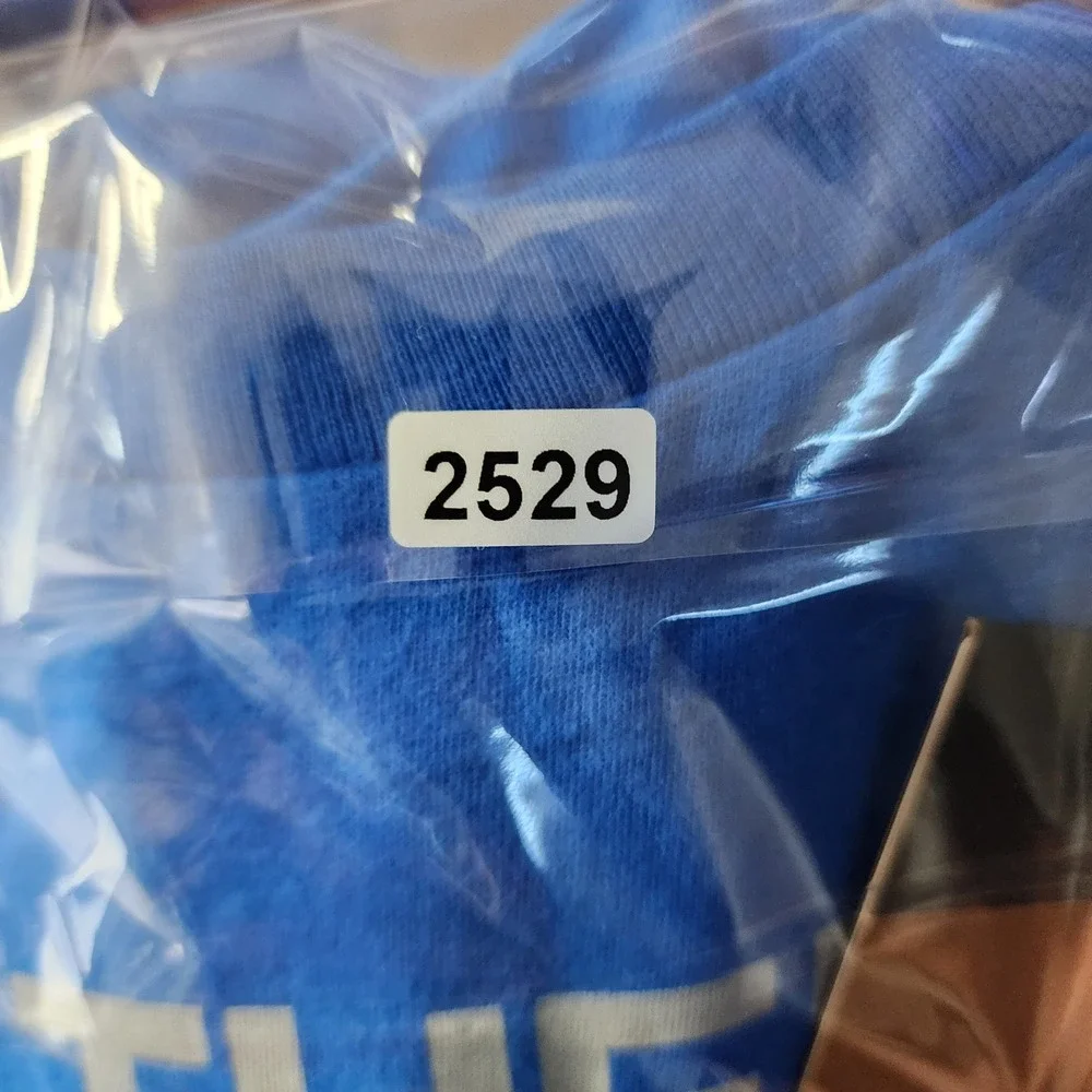 The North Face Shirt Boys Large Hero Blue Long‎ Sleeve Half Dome Graphic Tee NWT